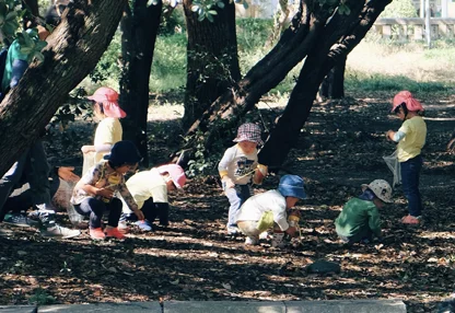 Forest School Insurance
