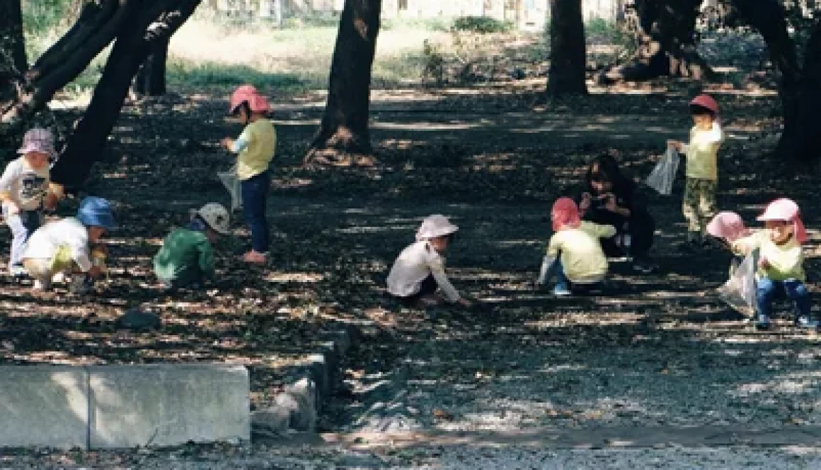 The Role of Public Liability in a Forest School Insurance Policy