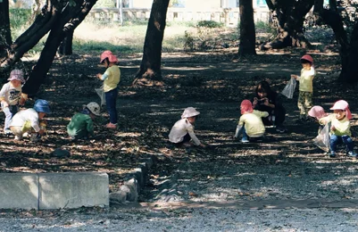 The Role of Public Liability in a Forest School Insurance Policy